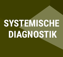 Systemische Diagnostik